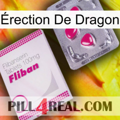 Érection De Dragon 32